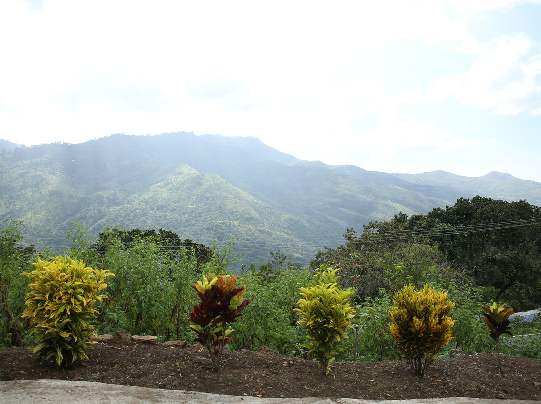 Path Of Mystic Meditation Resort