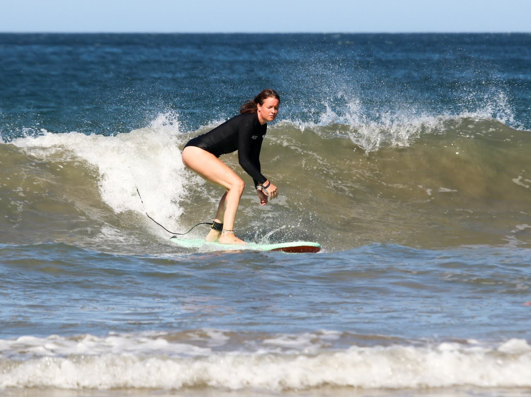 Snapper Surf School景点图片