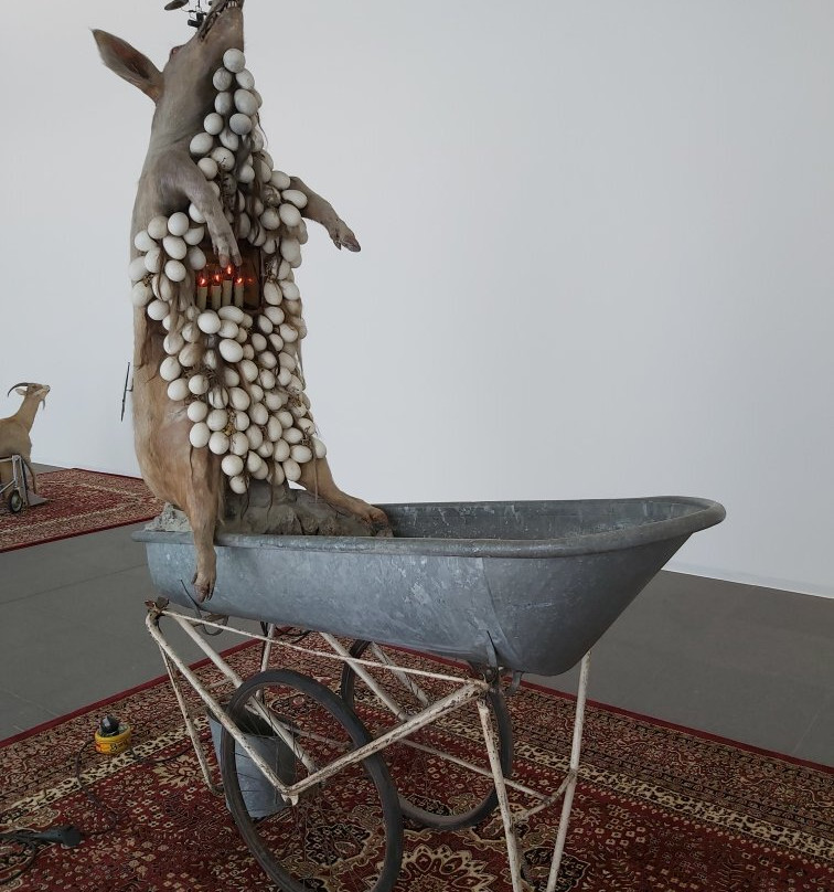 MAC's (Musee des arts Contemporains)-蒙斯必去景点