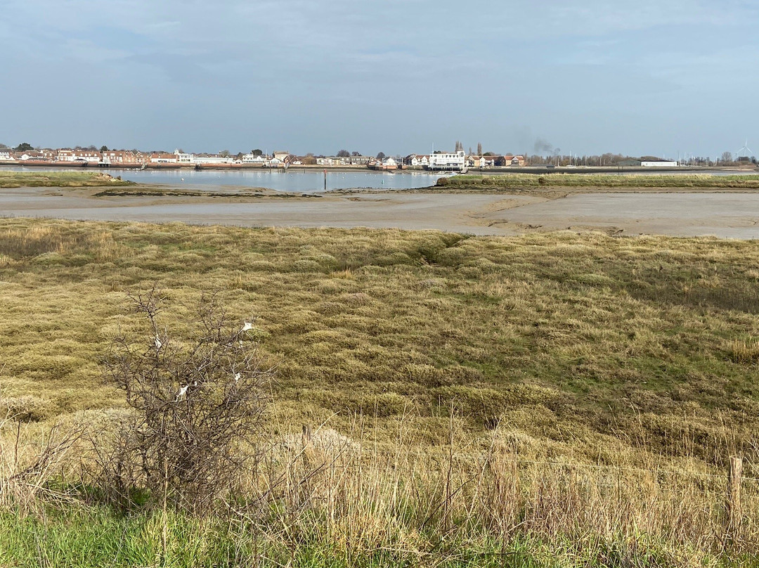 Wallasea Island Wild Coast景点图片