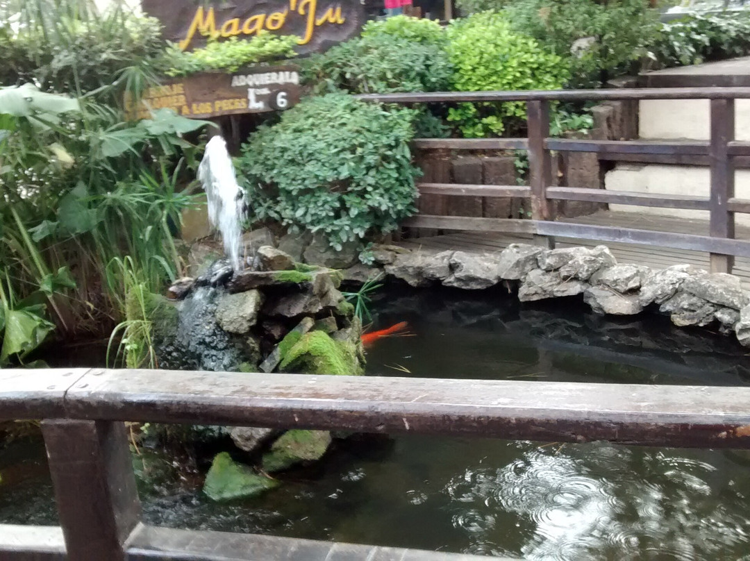 Paseo Mago Ju景点图片