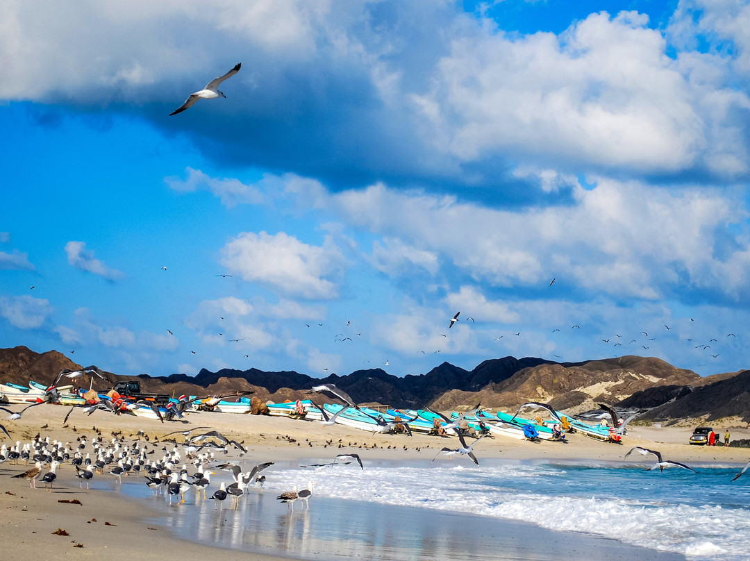 Ras Madrakah Beach-Duqm必去景点