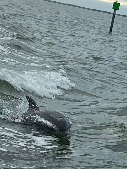 Tropic Star of Pine Island-Bokeelia必去景点