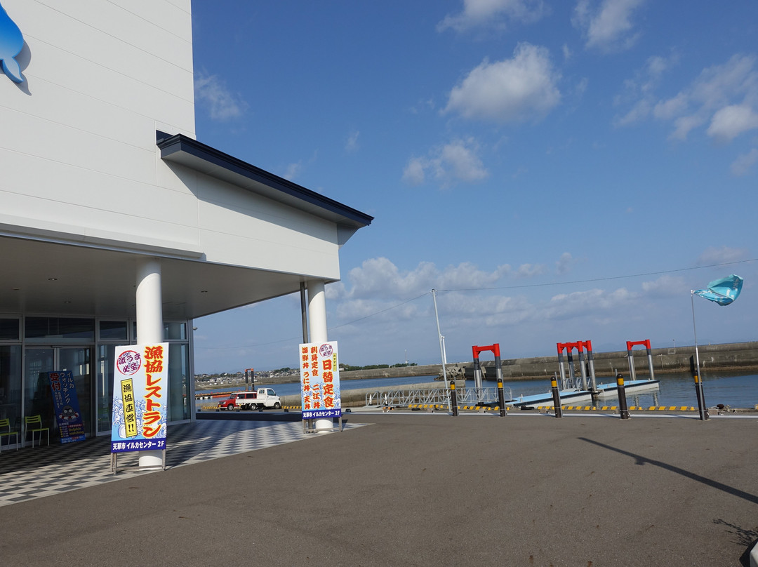 Michi no Eki Amakusa Dolphin Center景点图片