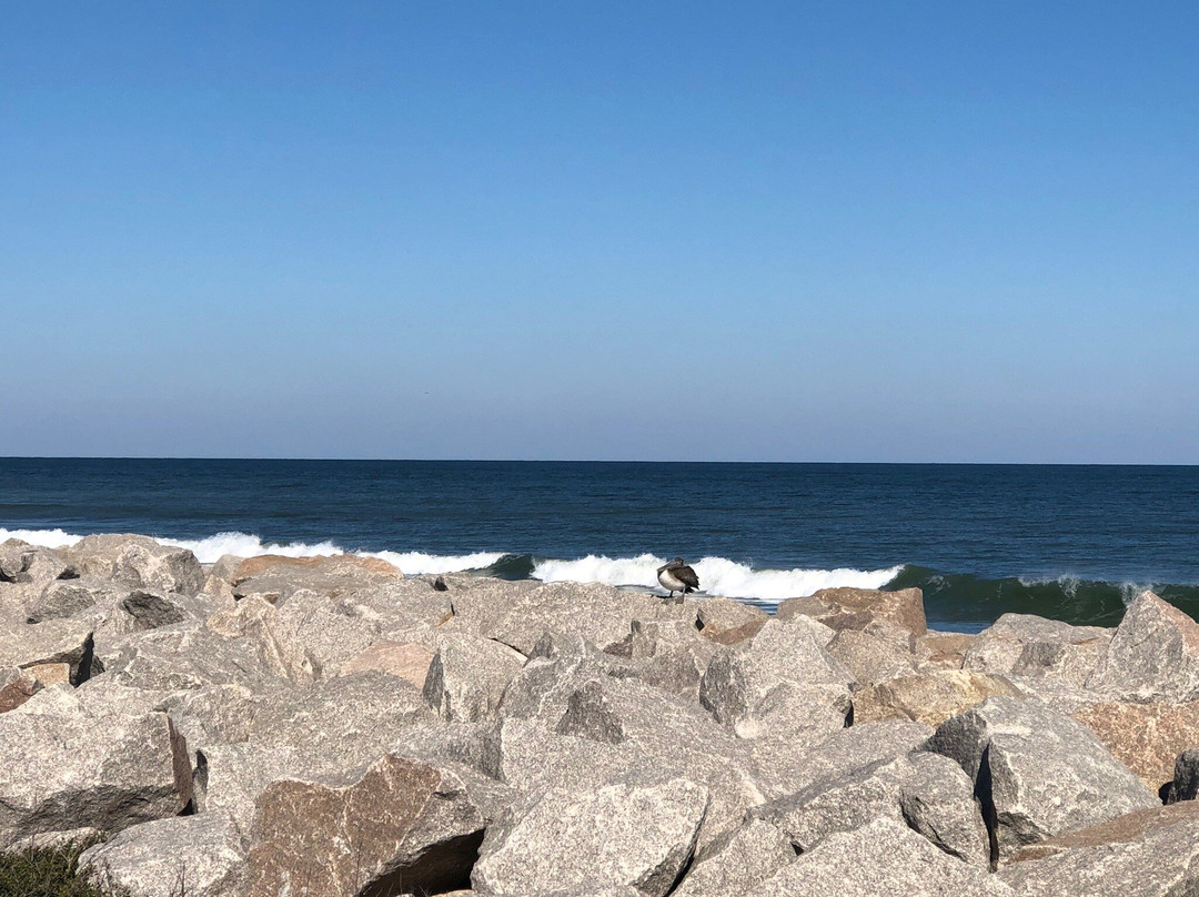 Fort Fisher State Recreation Area景点图片
