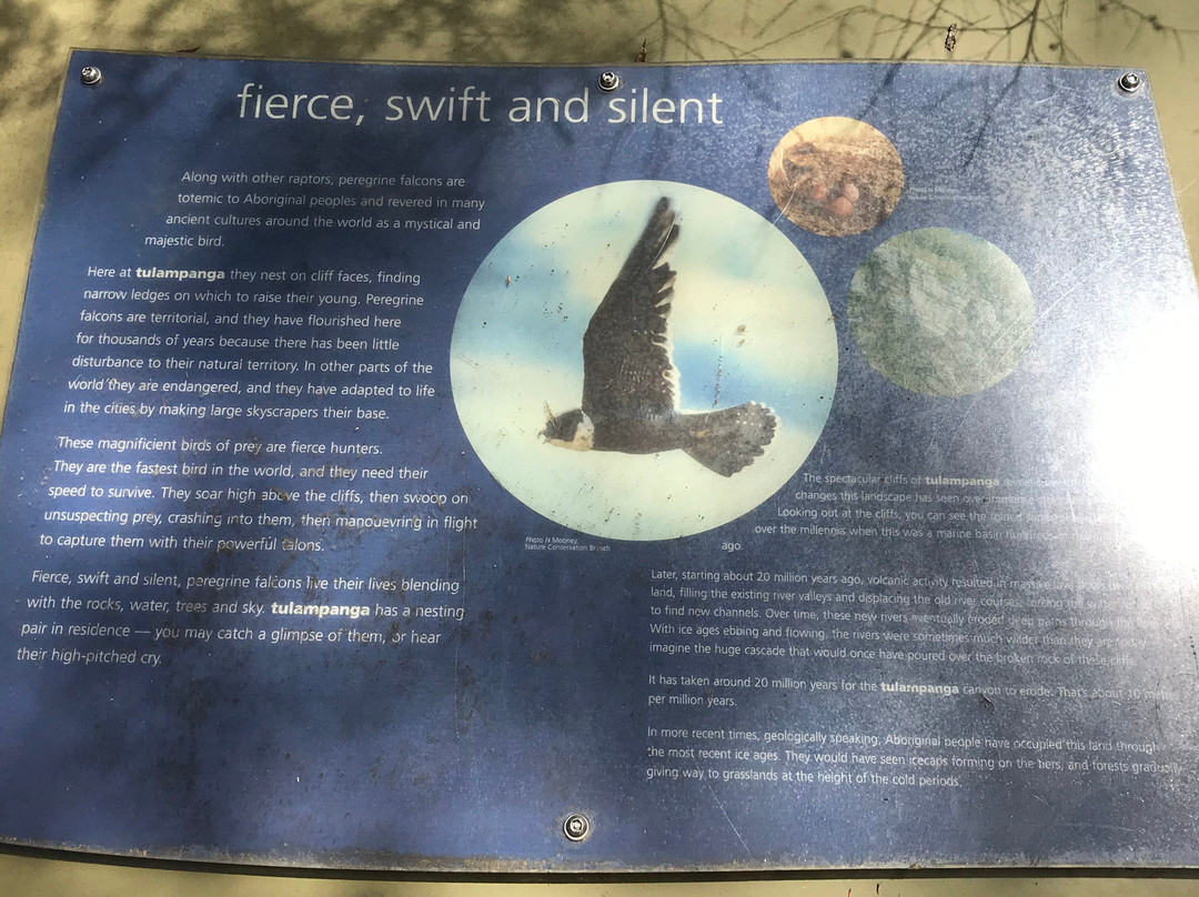 Alum Cliffs-Chudleigh必去景点