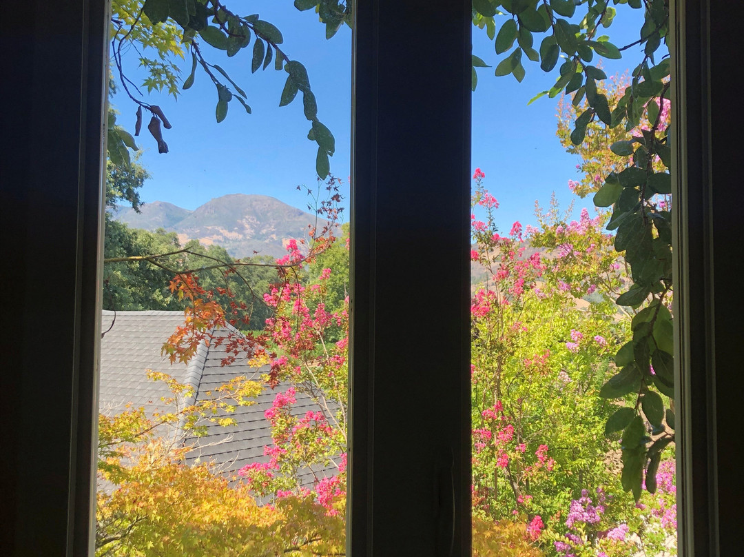 Chateau de Vie主图