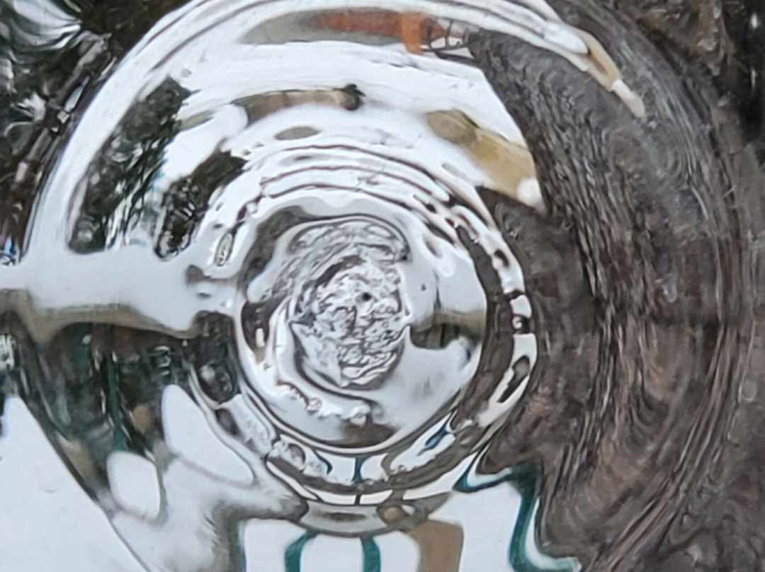 The Wilderness Inn Bed and Breakfast主图