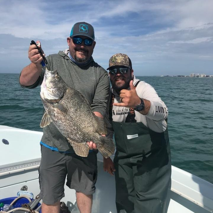 Wildman Adventures-萨拉索塔必去景点