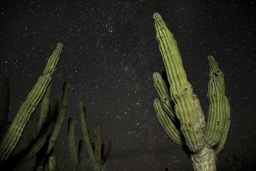 Rancho Cactimar Desert & Sea Eco-Ranch-拉巴斯必去景点