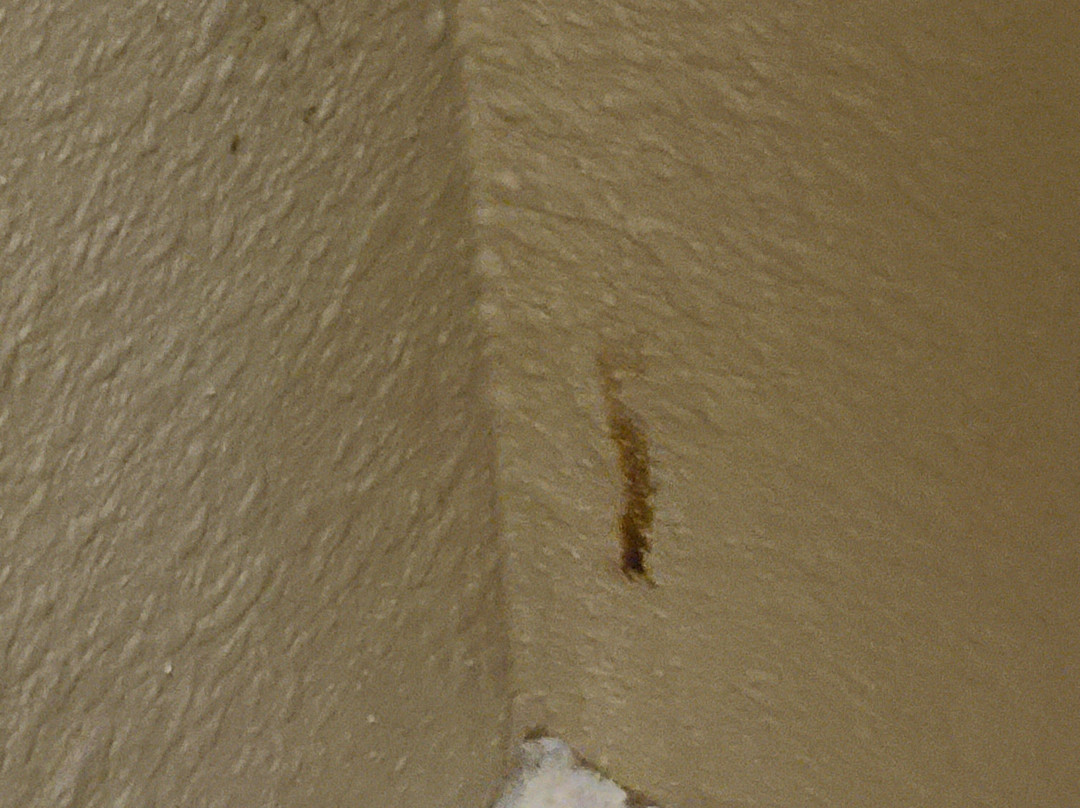 Best Western Huntsville Inn & Suites主图