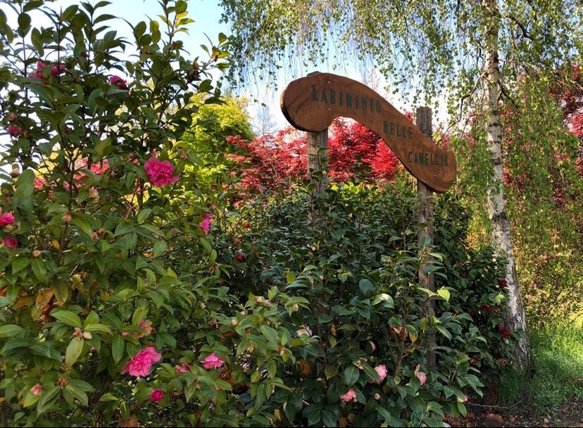 Labirinto Delle Camellie-Laveno-Mombello必去景点