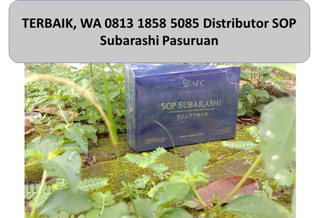 茵那树饭店主图