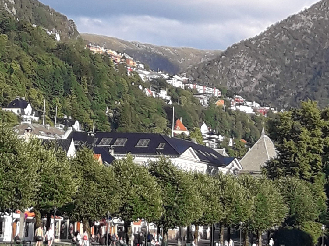 Oslomania - Private guided tours in Oslo in English, French and Norwegian-奥斯陆必去景点