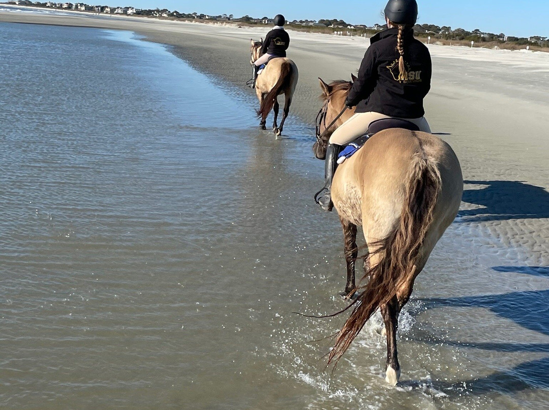 Seabrook Island Equestrian Center景点图片