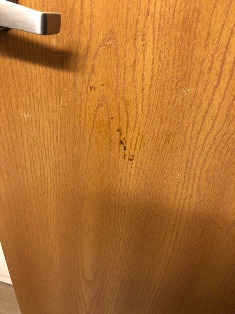 La Quinta Inn by Wyndham Olympia - Lacey主图