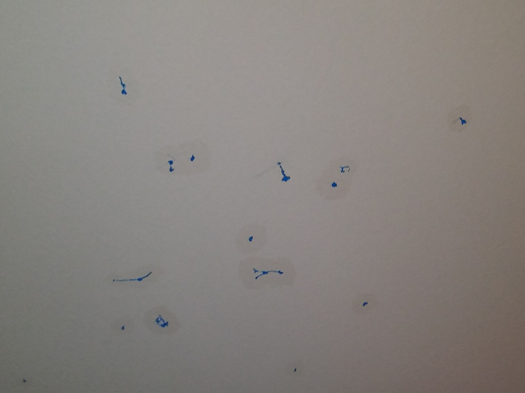 Soaring Eagle Waterpark and Hotel主图