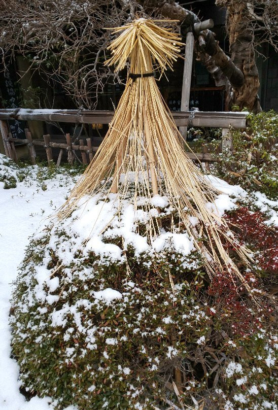 Kamiyamada Hotel主图