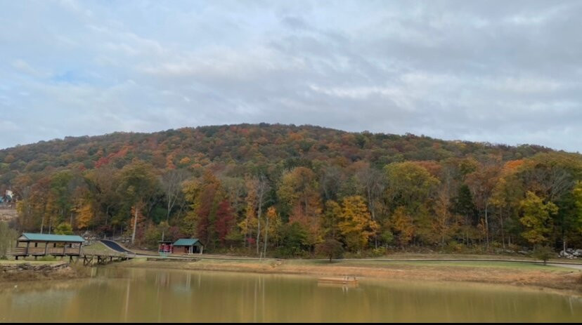 The Vision Zip Line Tour-亨茨维尔必去景点