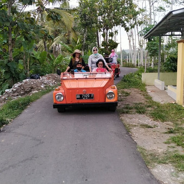Java Destination-Borobudur必去景点