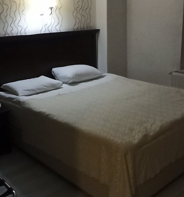 Hotel Sahiner主图