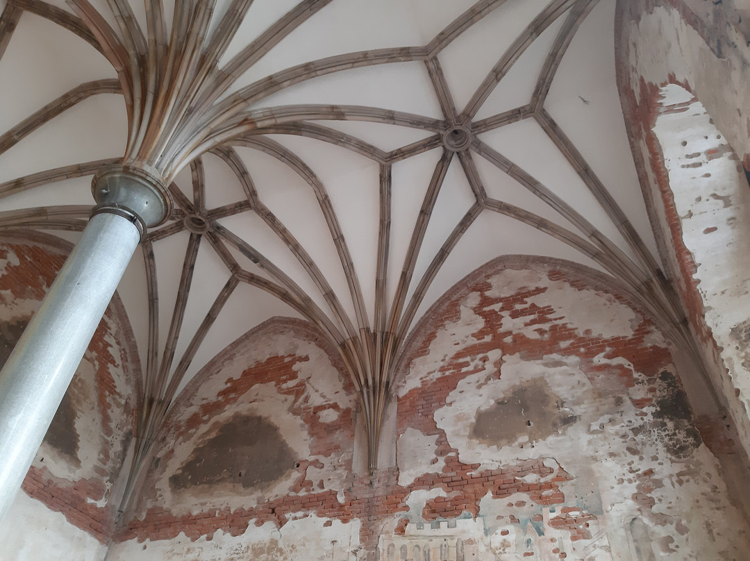 Kamieniec Zabkowicki Palace景点图片