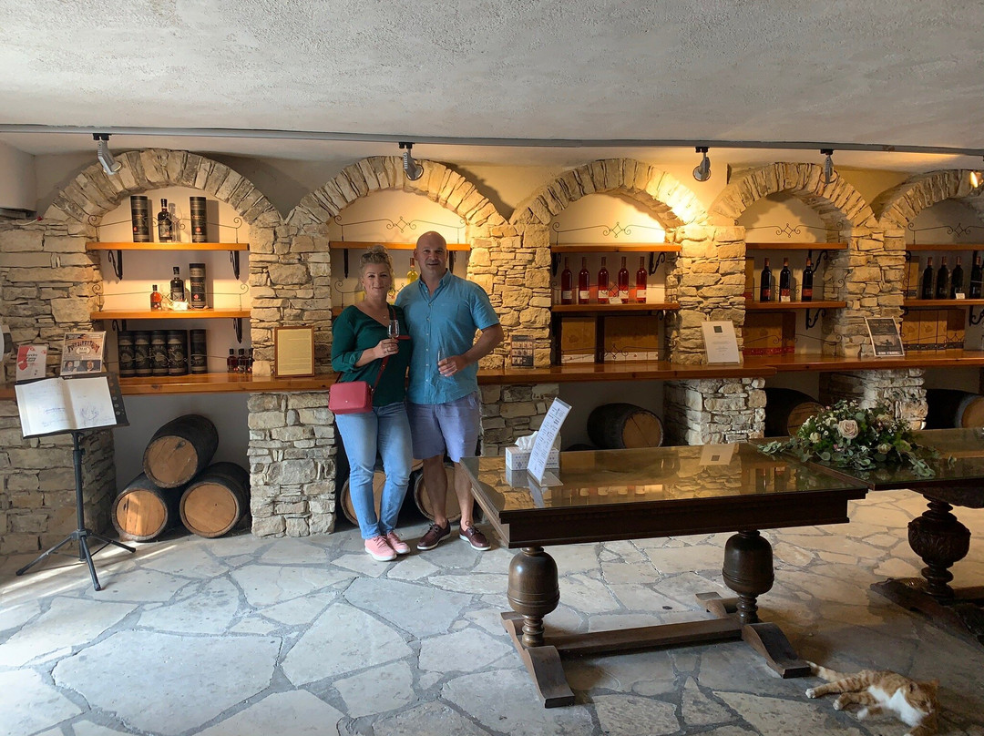 Cyprus Wine Museum景点图片
