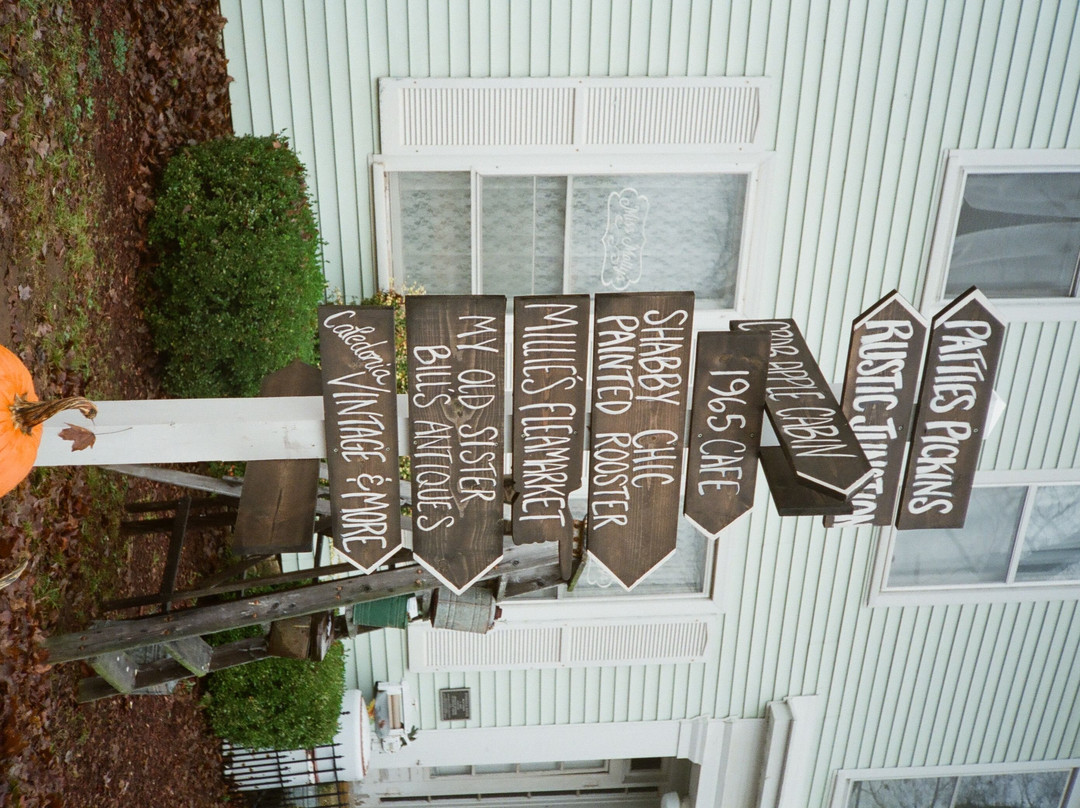 Old Caledonian Bed & Breakfast主图