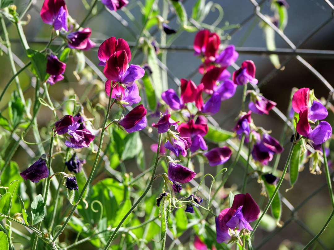 福鲁格摩尔公园酒店主图