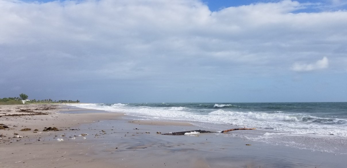 维洛海滩汽车旅馆-泳池