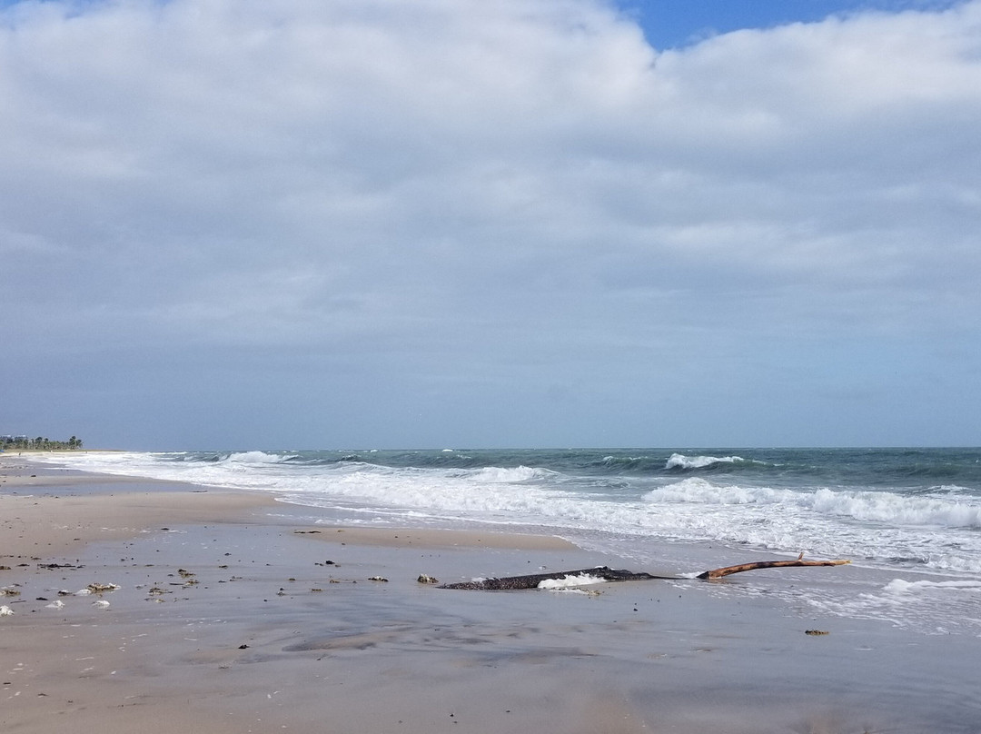 维洛海滩汽车旅馆主图