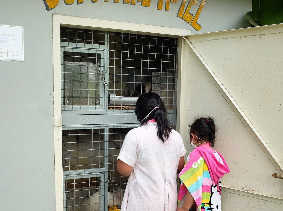 梅森青松酒店主图