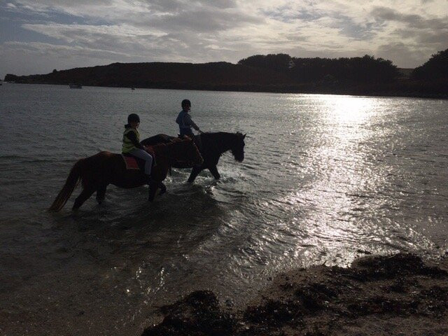 St Mary's Riding Centre-St Mary's必去景点