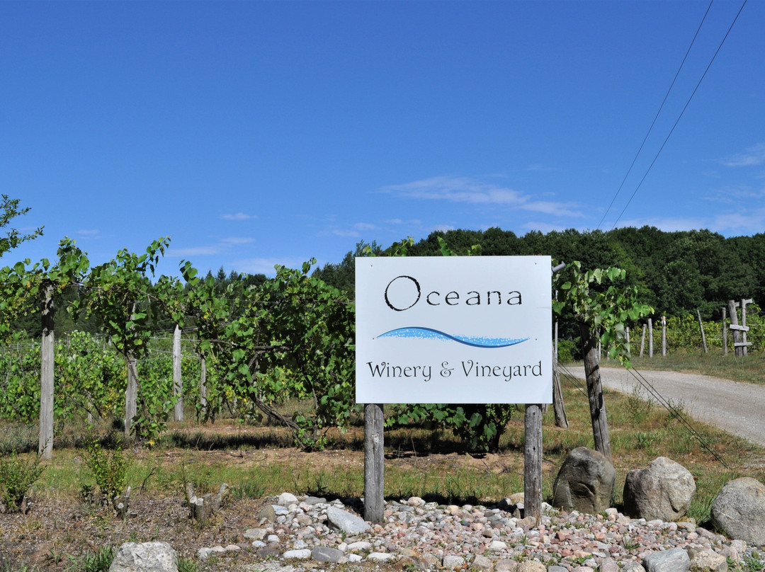 Oceana Winery and Vineyard景点图片
