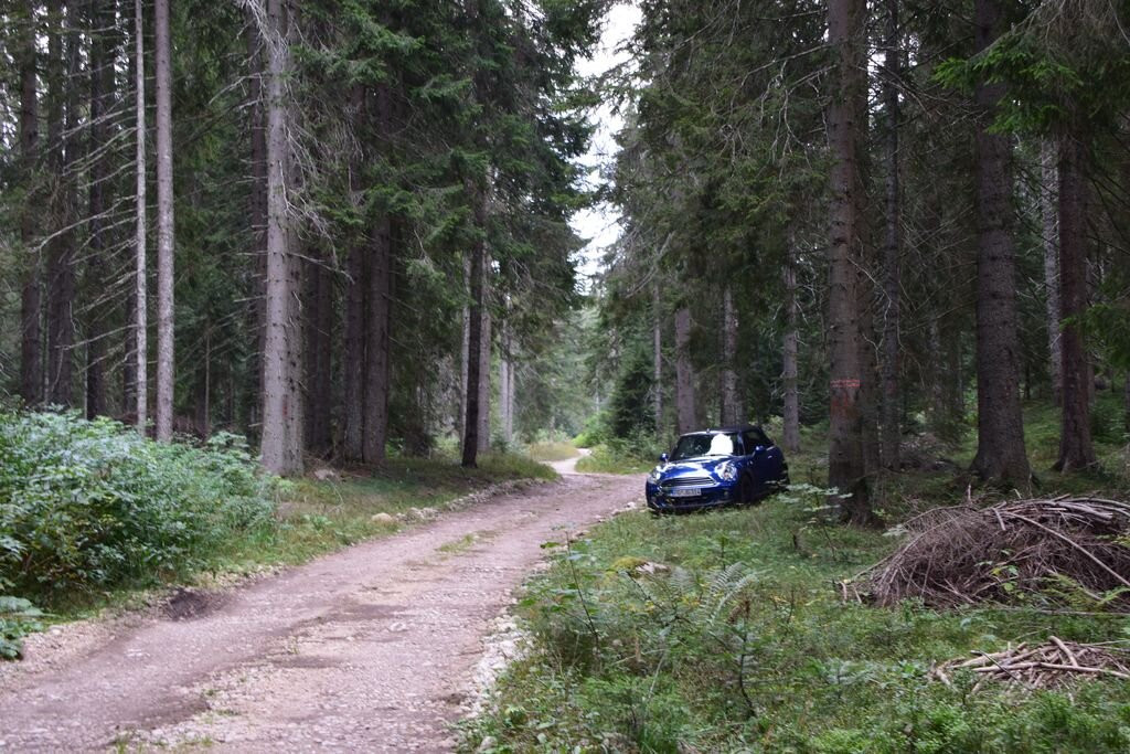 Dumitor Ring景点图片