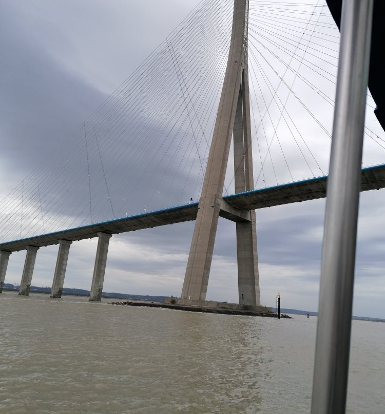 Promenade en Bateau Honfleur景点图片