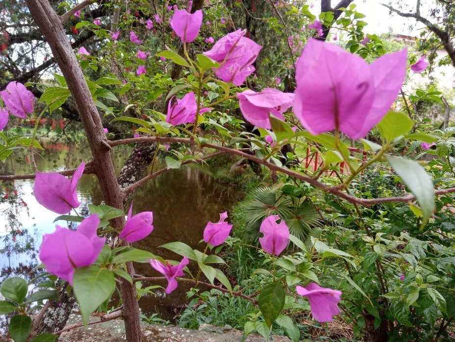Parque Natural Municipal da Água Vermelha João Câncio Pereira-索罗卡巴必去景点