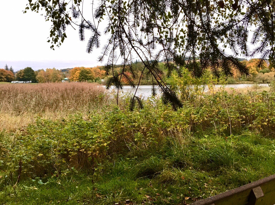 Loch Of Forfar-Forfar必去景点