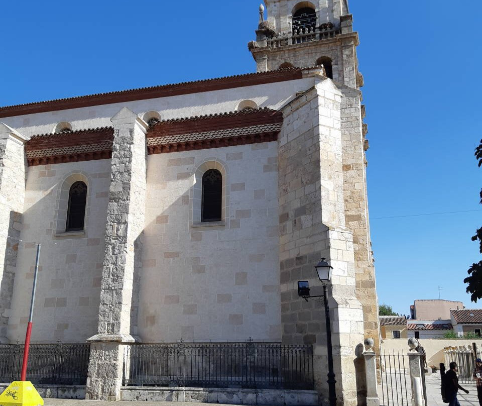 Catedral de Alcala de Henares-阿尔卡拉-德-哈纳雷斯必去景点