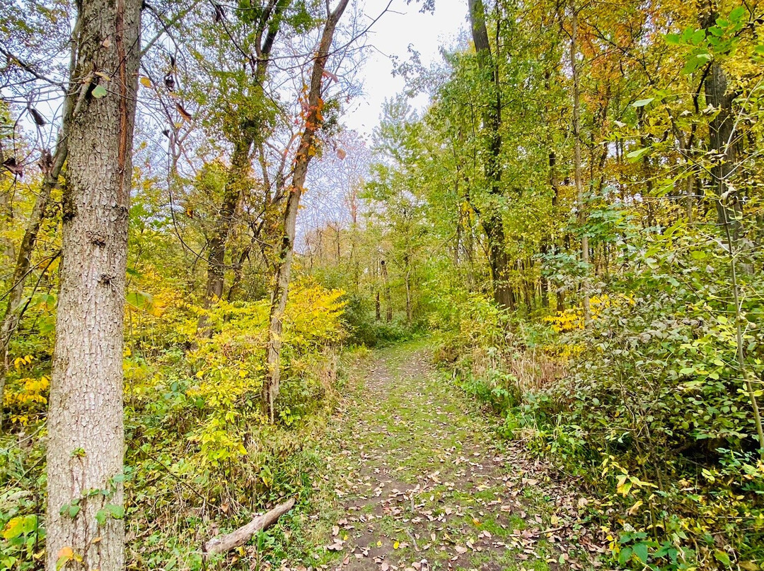 Fox Island County Park景点图片