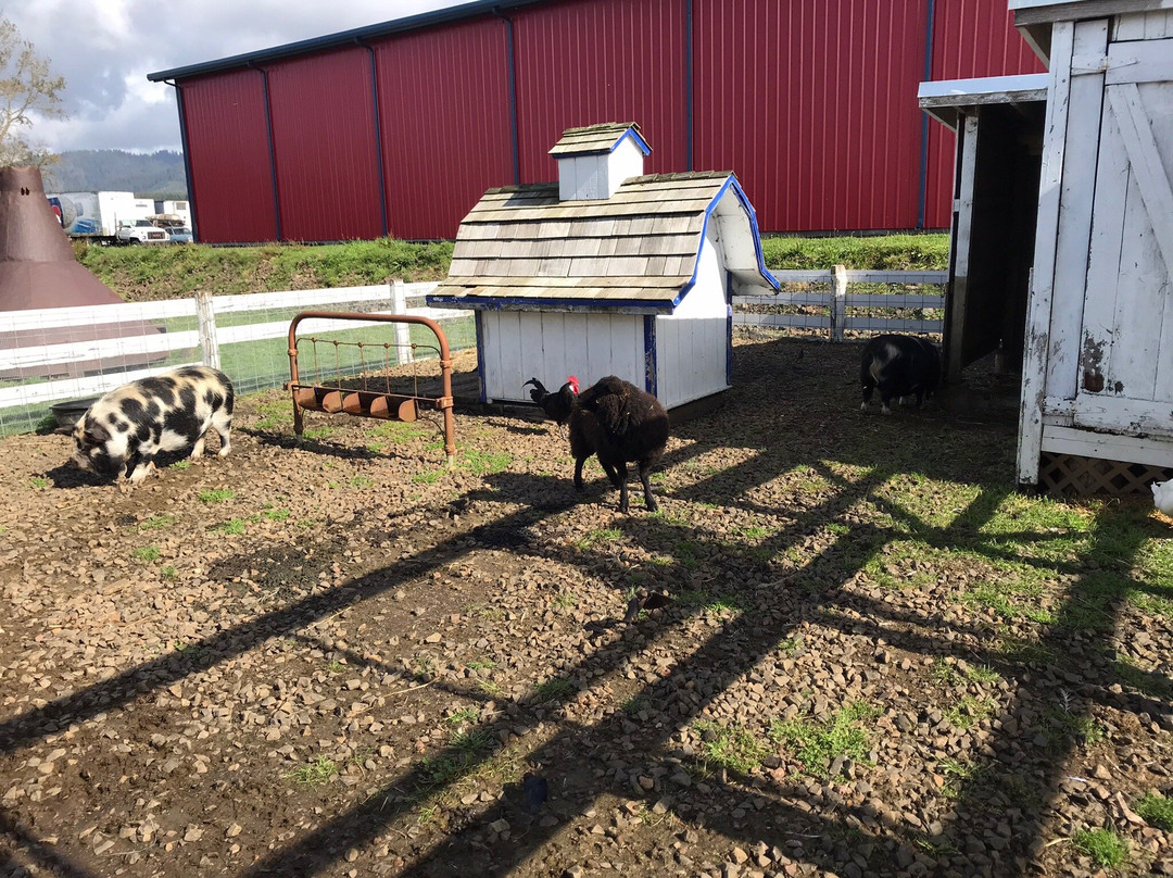 Blue Heron Cheese & Wine Company-蒂拉穆克必去景点