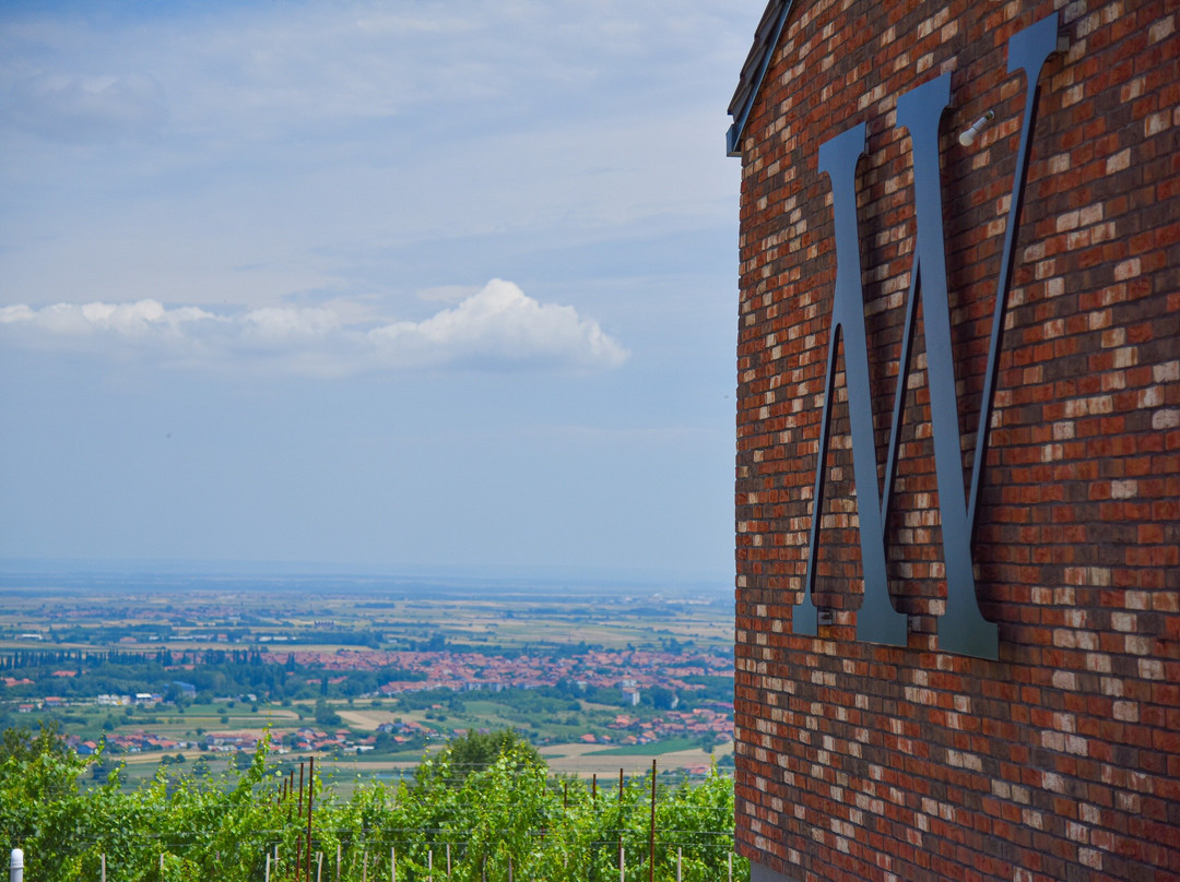 Matalj Winery-Negotin必去景点