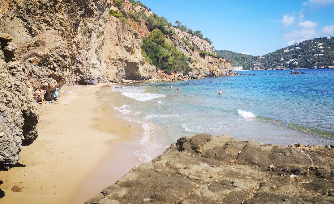 Platja Aigües Blanques景点图片