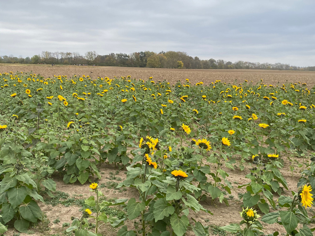 Fulton Farms-Troy必去景点