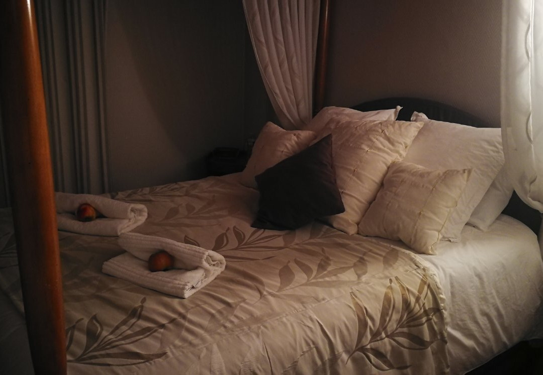 Logis Hôtel du Dauphin主图