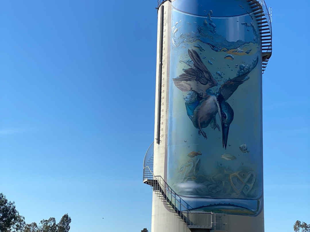 Gulargambone Water Tower Art-Gulargambone必去景点