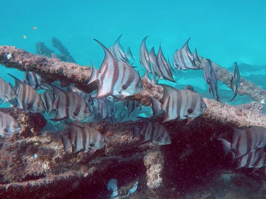 Ebb and Flow Adventures-朱庇特必去景点