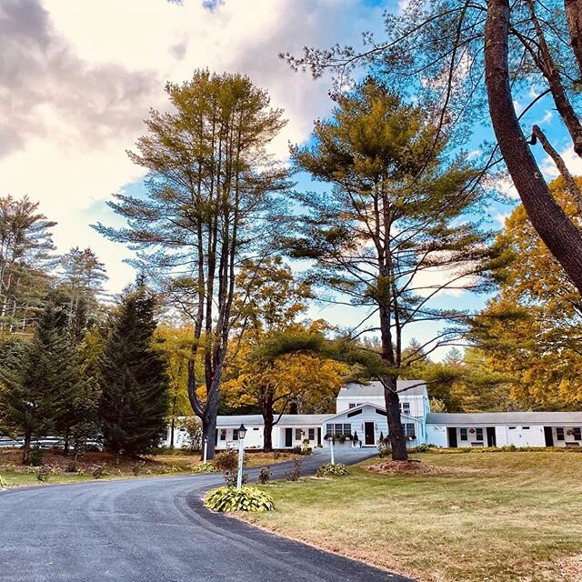 Arcady Mountain Motor Lodge主图