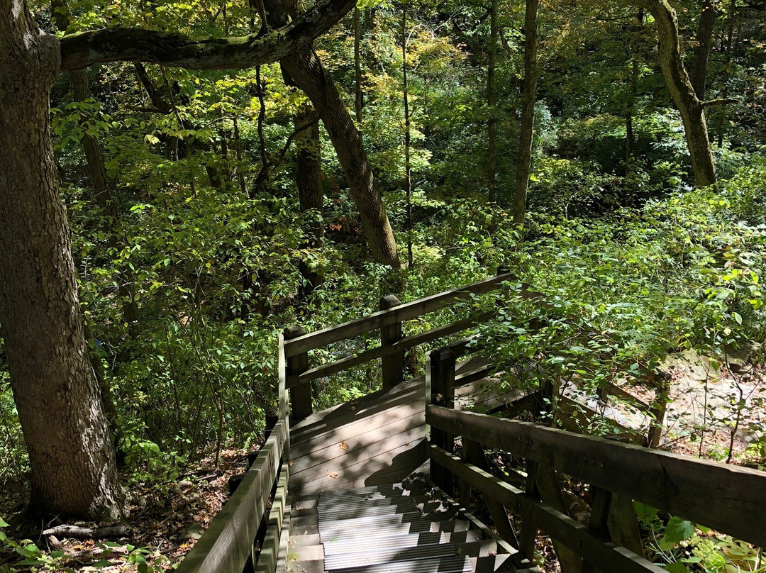 Clifton Gorge State Nature Preserve-Yellow Springs必去景点