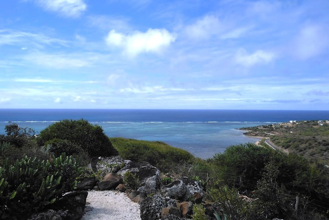 Domaine de la Paix主图